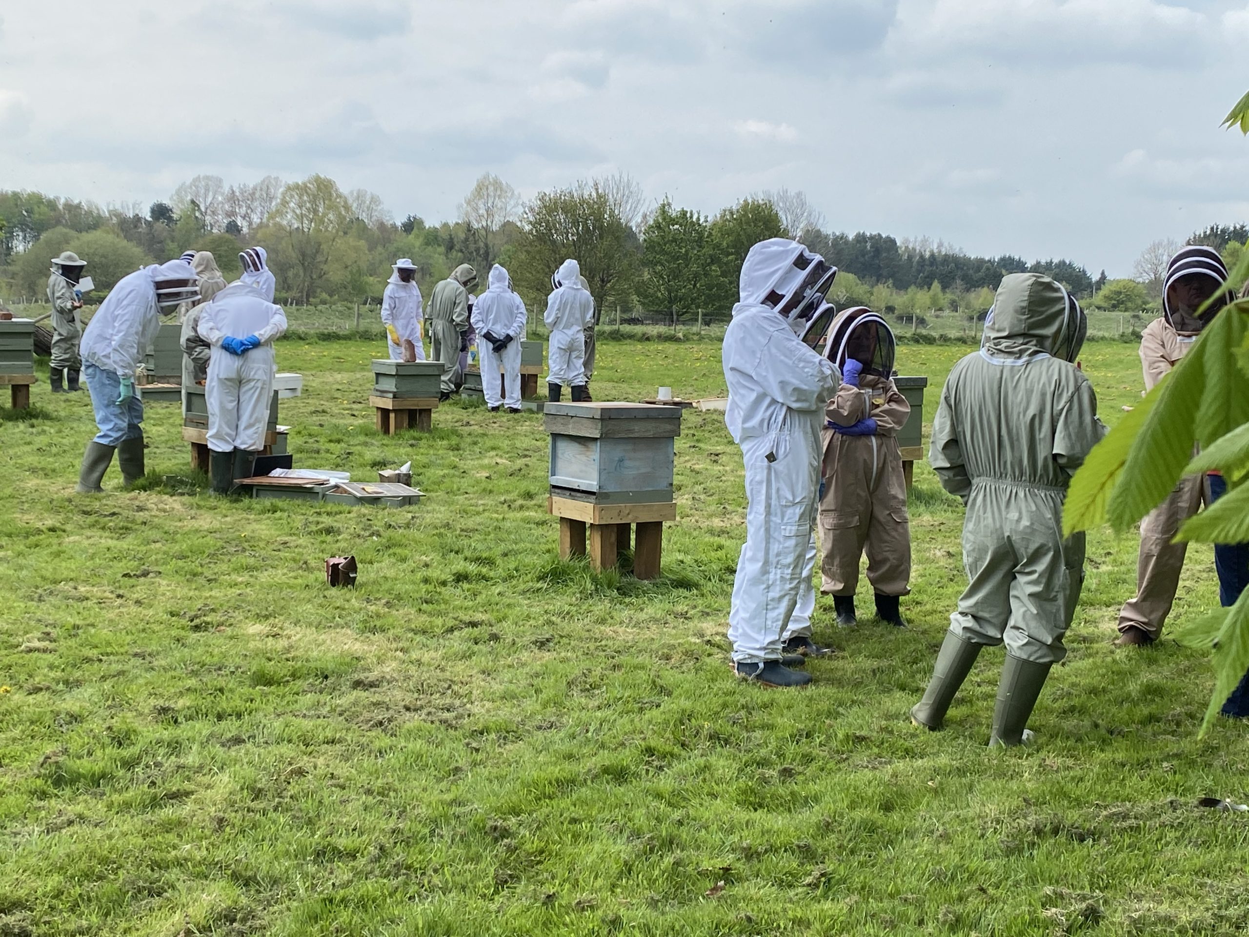 Branch Apiary Session